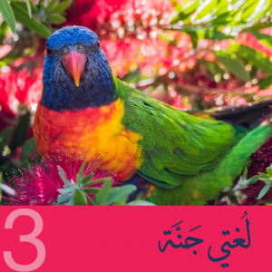 25/26 Level (3A) In Person