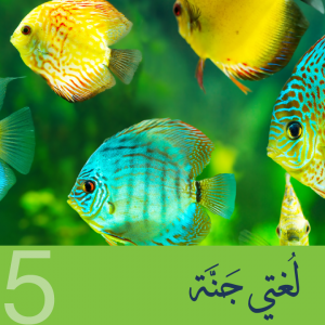 25/26 Level (5A) In Person