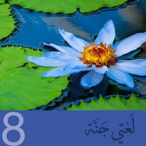 25/26 Level (8A) In Person